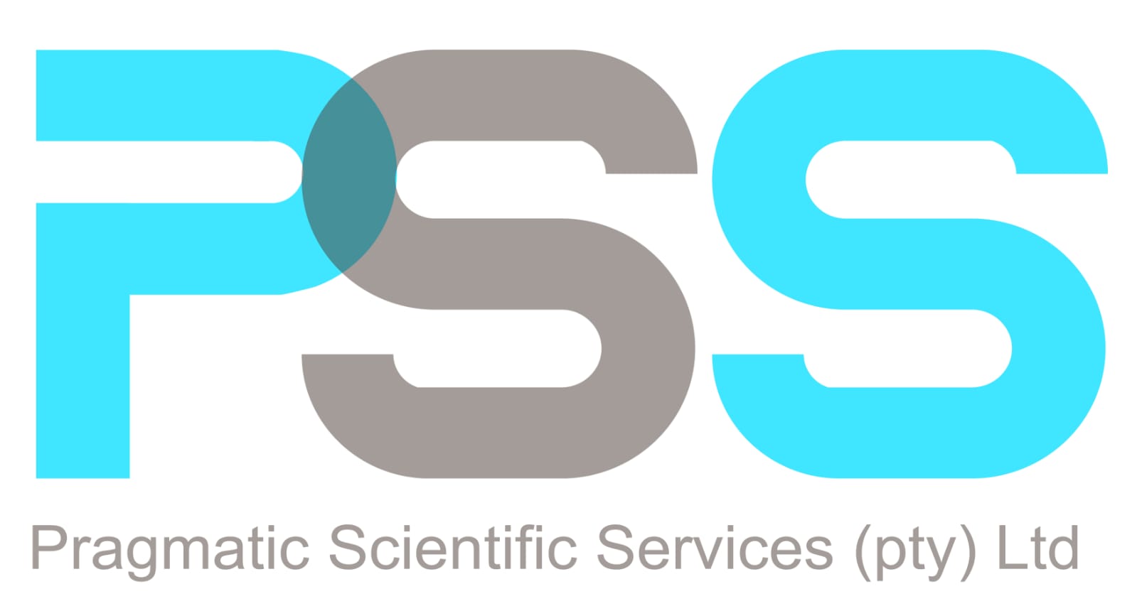 Pragmatic Scientific Services Logo